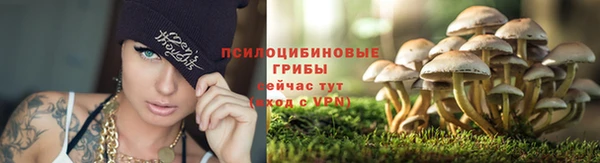 бошки Алзамай