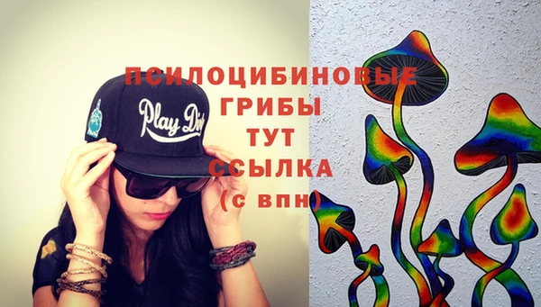 бошки Алзамай