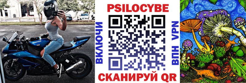 где продают   Аткарск  Галлюциногенные грибы Cubensis 